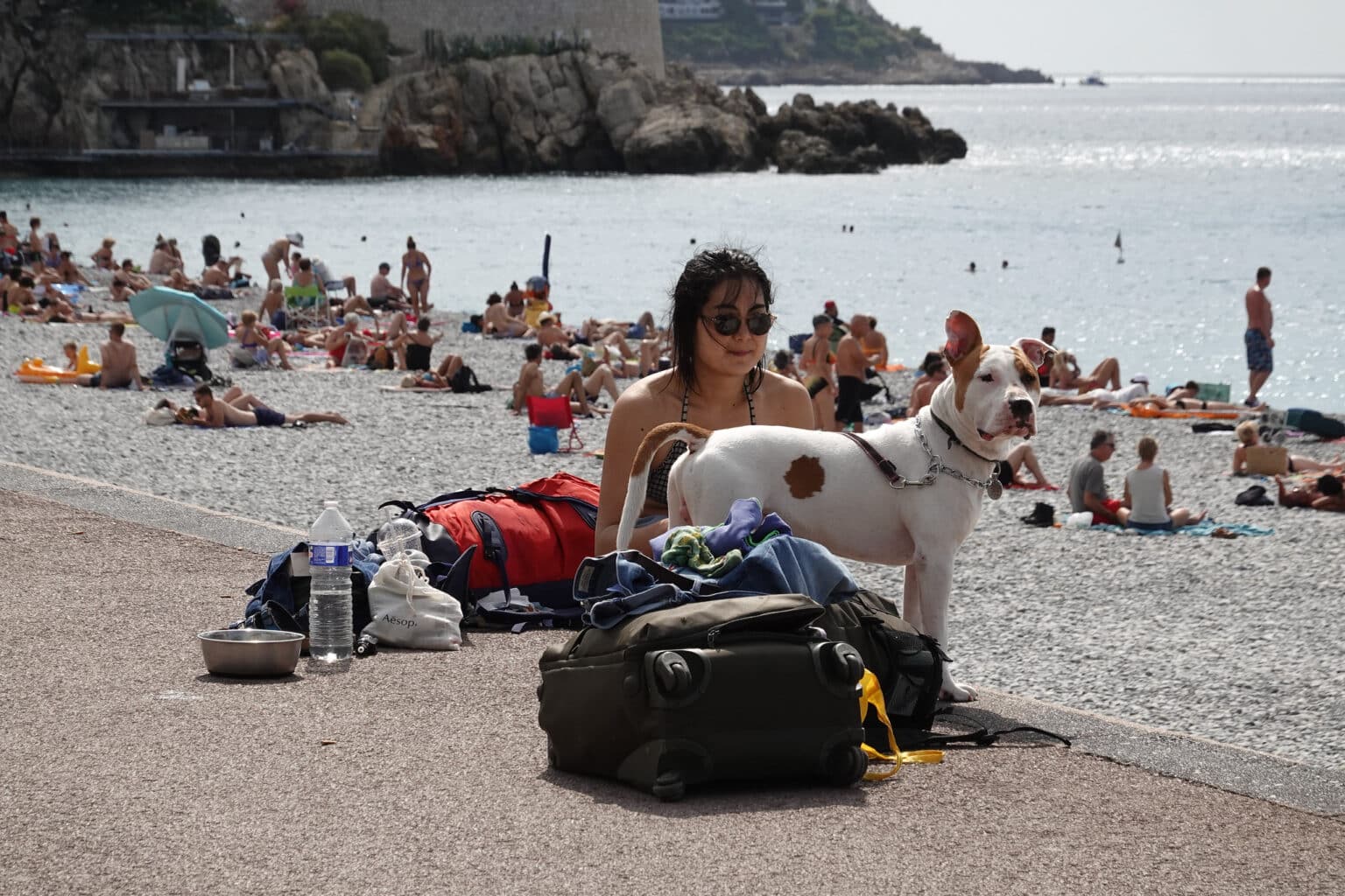 « Non, Nice ne va pas devenir une destination pour riches » défend l’Office de tourisme métropolitain – 5 QUESTIONS nice alpes maritimes