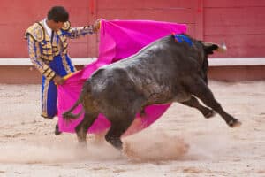 Corrida In Arles 2009 04 13
