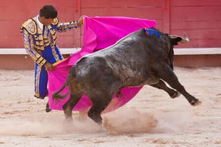 Corrida In Arles 2009 04 13