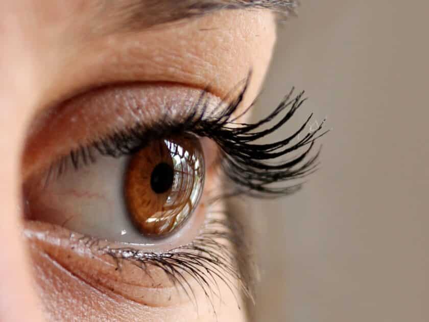 Le Covid-19 peut (aussi) affecter l’ouïe, la vue et le toucher pexels pixabay 63320