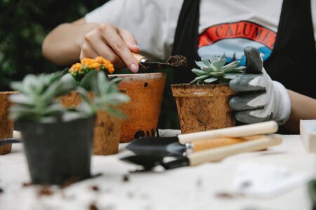 jardinier emploi nice alpes maritimes
