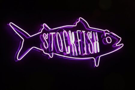 salle stockfish Nice