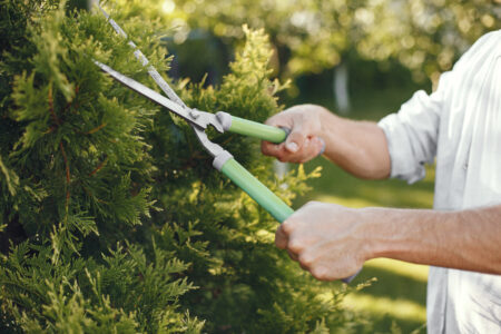 man trimming bough of brush guy works in backyard
