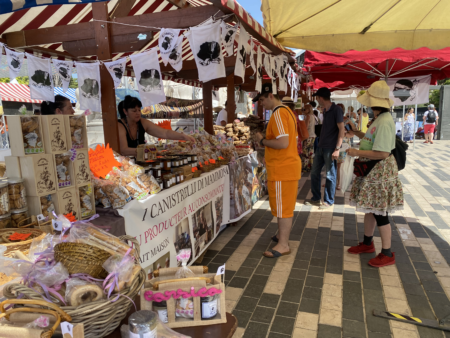 IMG 0913