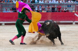 bullfight g12b4e02c3 1920