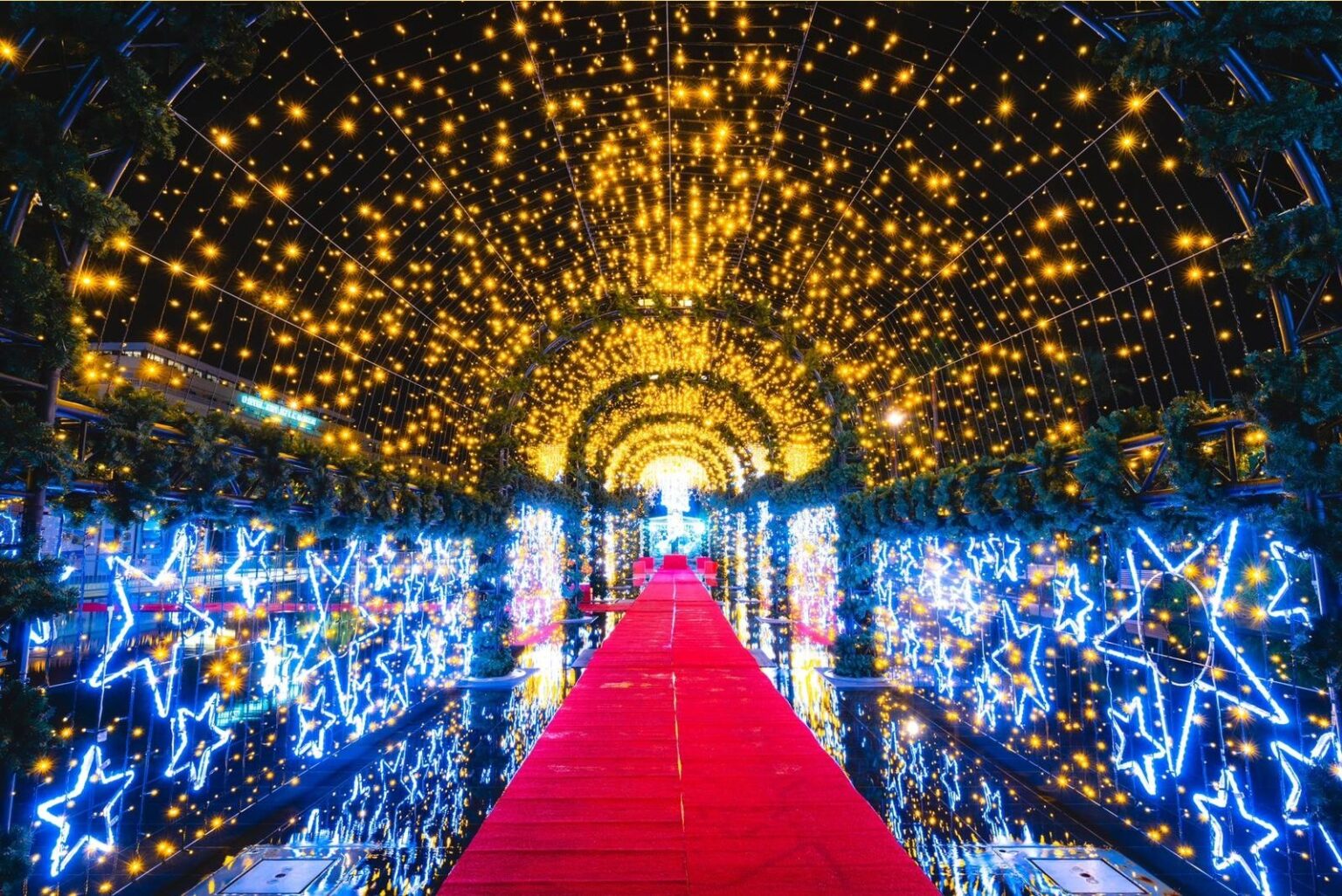 Nice marché illuminations