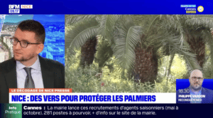 BFM Nice Clément Avarguès