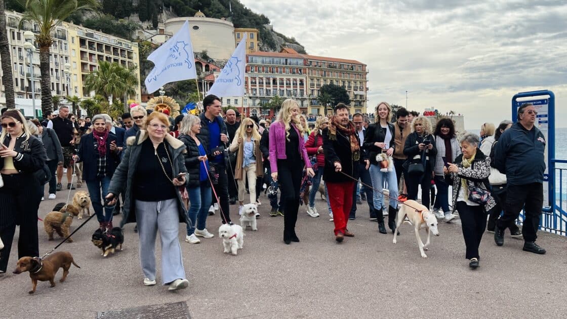 Nice : sur la Promenade des Anglais, une « Animal Pride » qui a du chien (photos) Nice Animal Pride Marche des Animaux