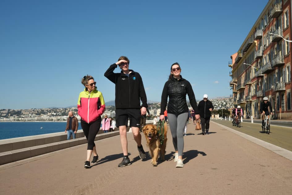 Nice chien bien-être animal