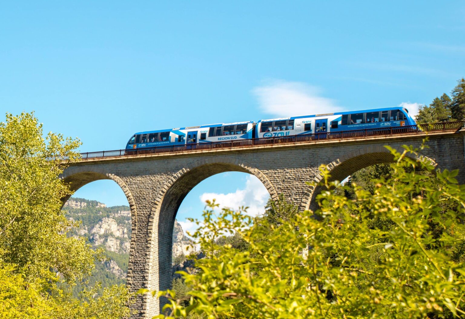 train pignes