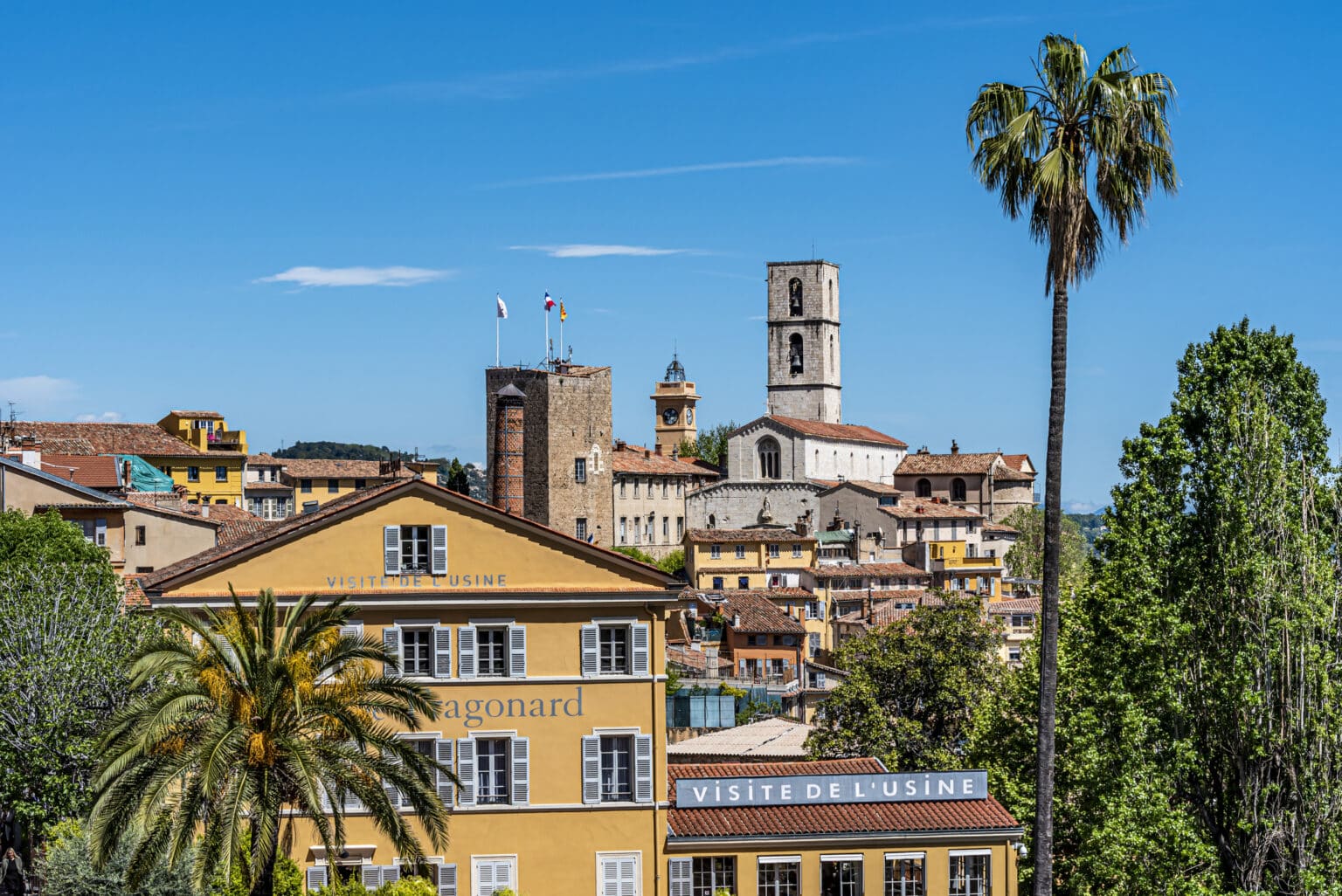 Grasse