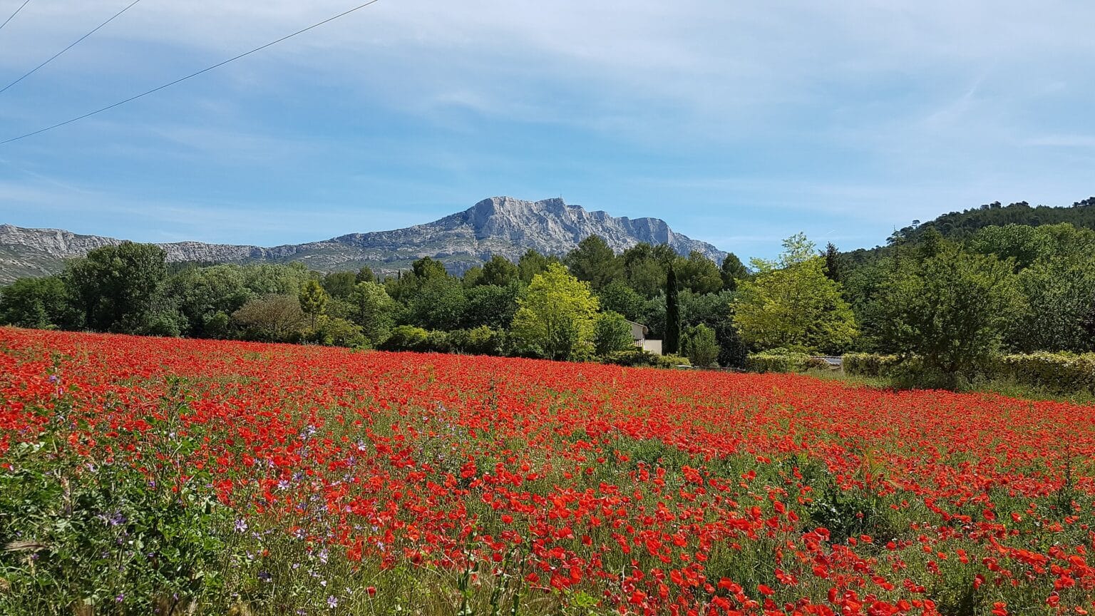 2880px Montagne Sainte Victoire au Printemps depuis Beaurecueil
