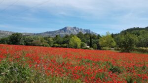 2880px Montagne Sainte Victoire au Printemps depuis Beaurecueil
