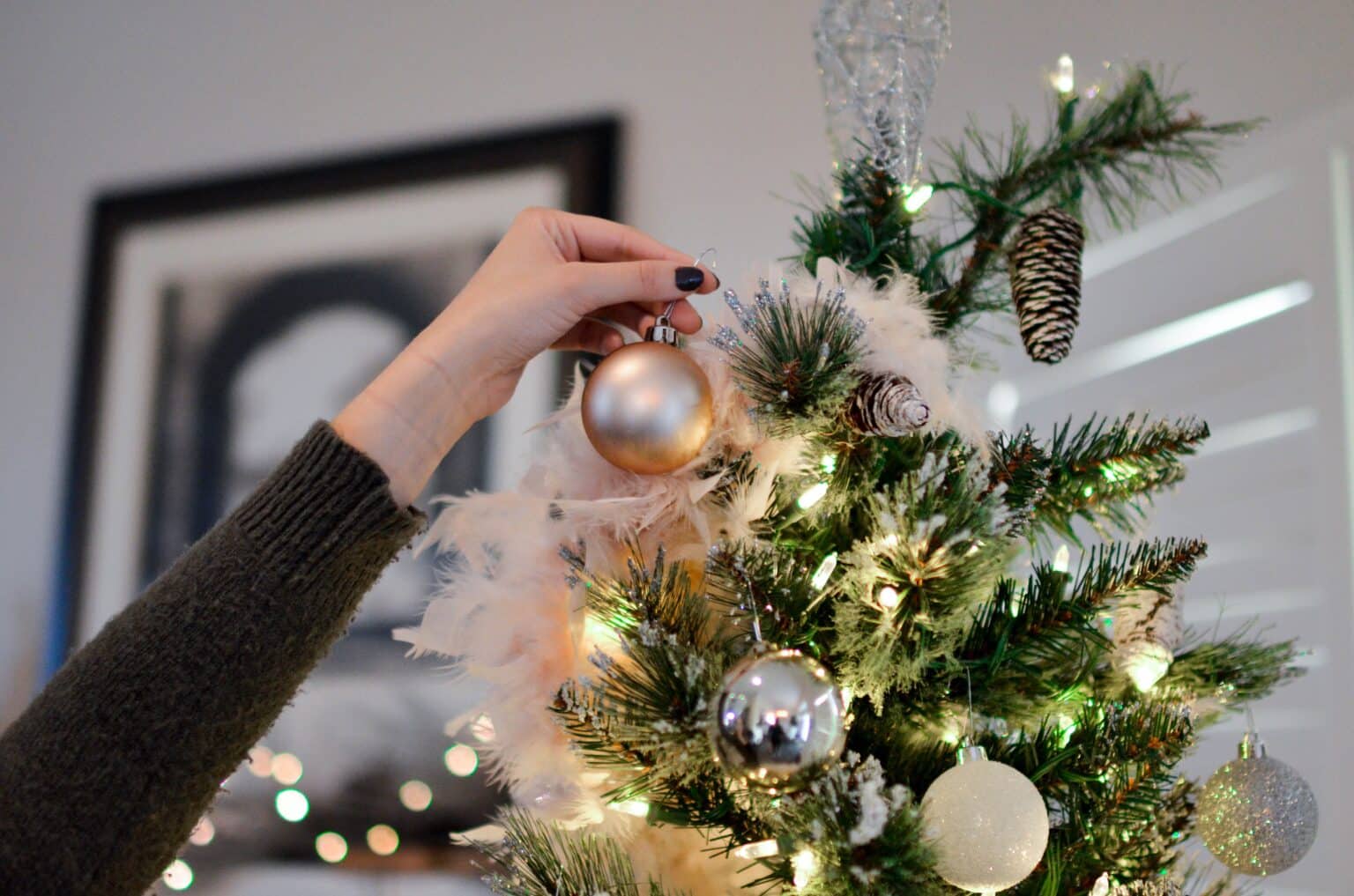Noël : 4 astuces pour acheter votre sapin le moins cher possible pexels element digital 712318