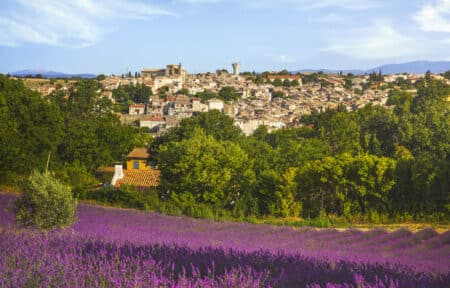 provence immobilier