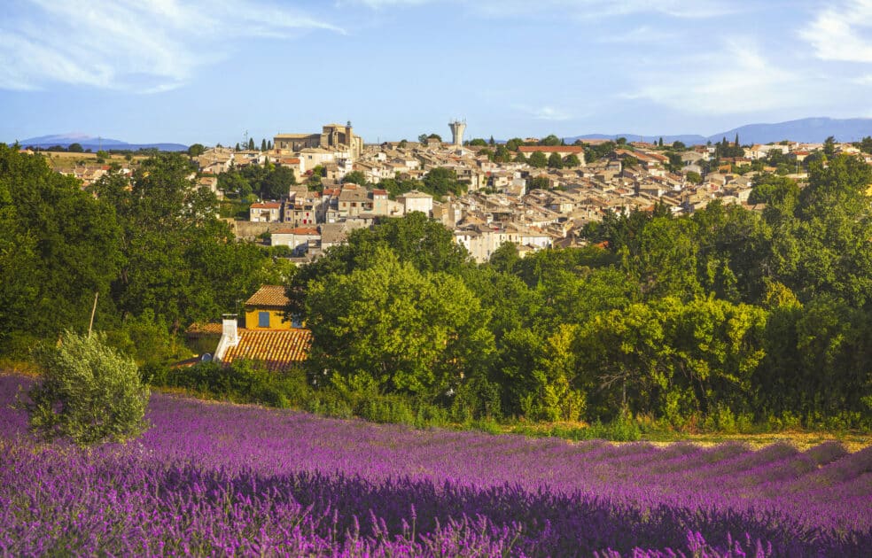 provence immobilier
