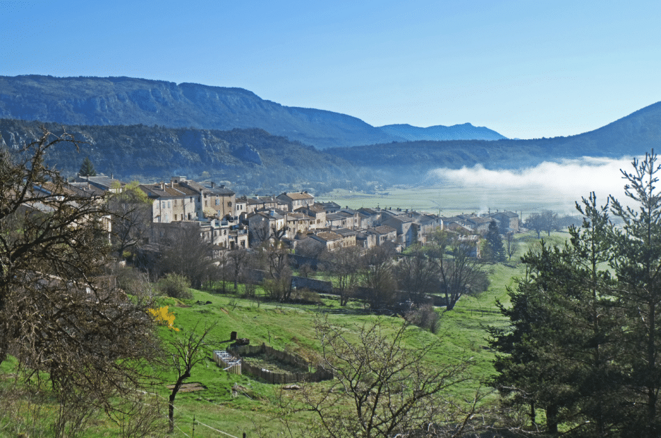 Caille 2 1