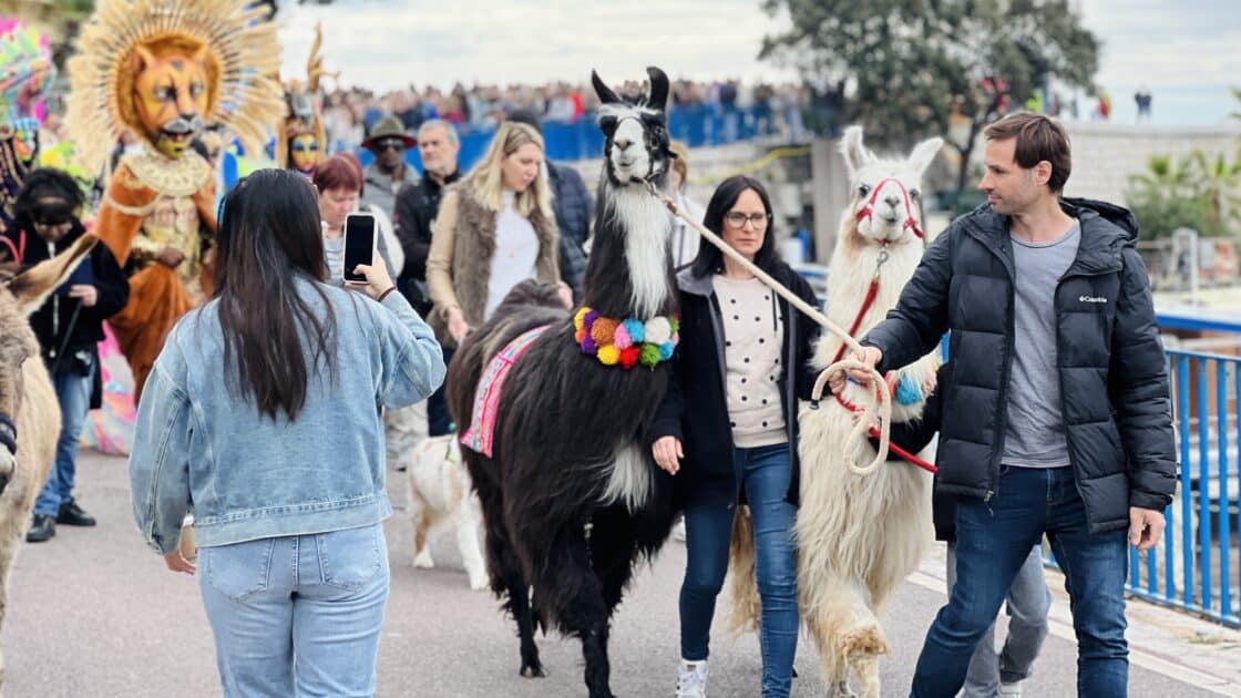 Nice : l’Animal Pride de retour ce week-end ! IMG 4969 1120x630 1
