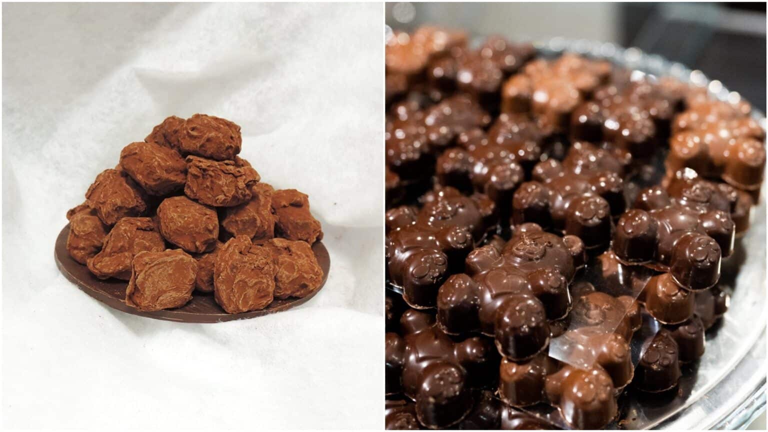 Nice : la Maison Regel, paradis du chocolat maison chocolats 1