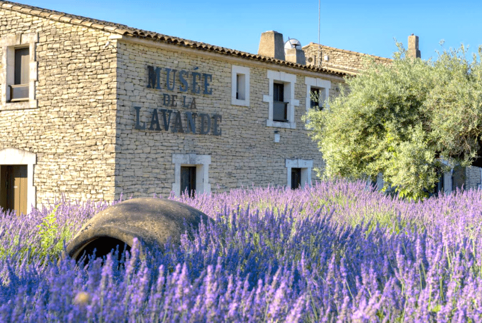musée lavande provence-alpes-côte d'azur