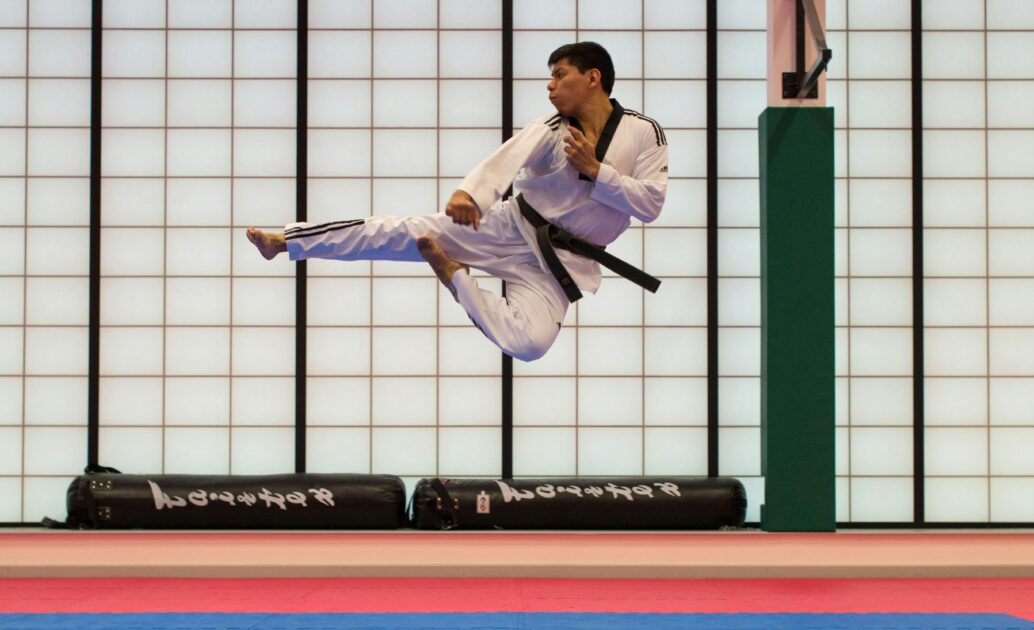 festival arts martiaux nice