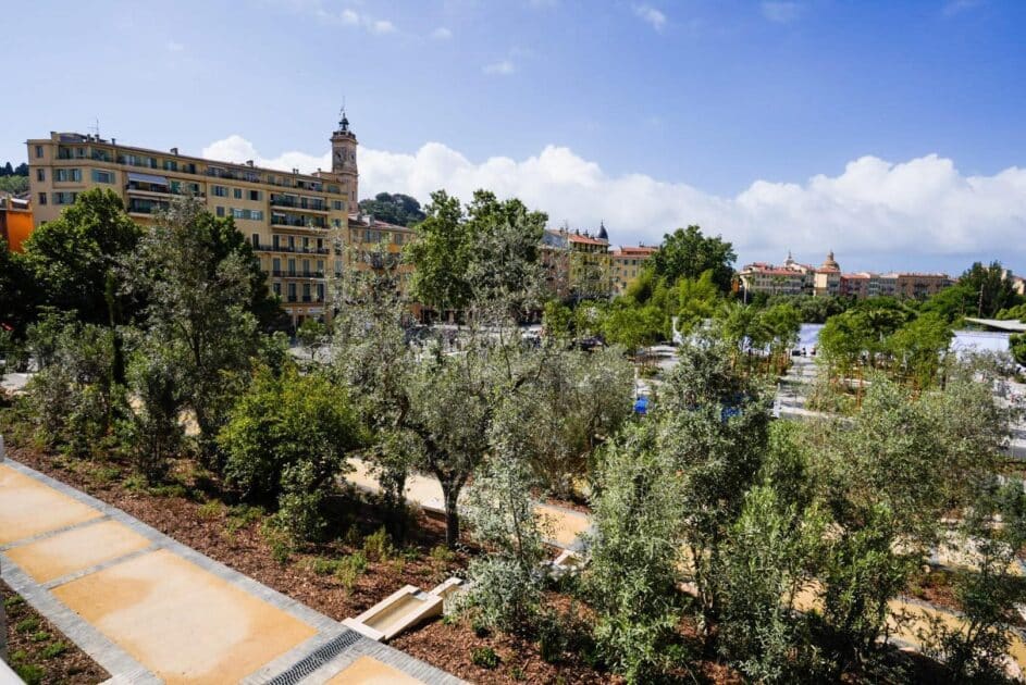 448529629 491626523339560 2805595906180389016 n