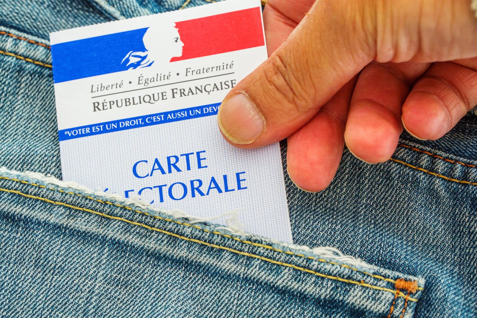 Législatives dans les Alpes-Maritimes : voici les principaux candidats dans les 9 circonscriptions carte électorale