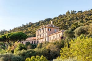 bormes les mimosas
