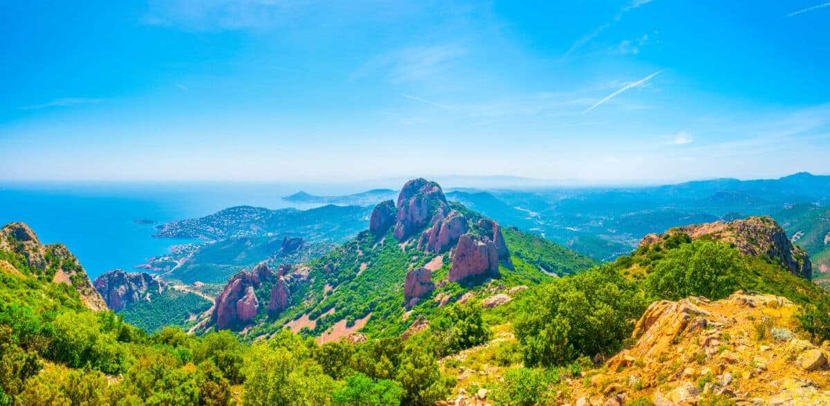 Provence-Alpes-Côte d’Azur parmi les endroits les plus boisés de France provence-alpes-côte d'azur