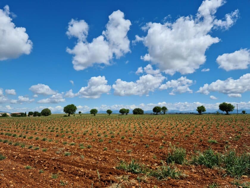 maxxup SumRnnVtdJk unsplash