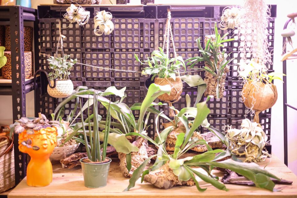 WhatsApp Image 2024 07 31 at 12.05.15