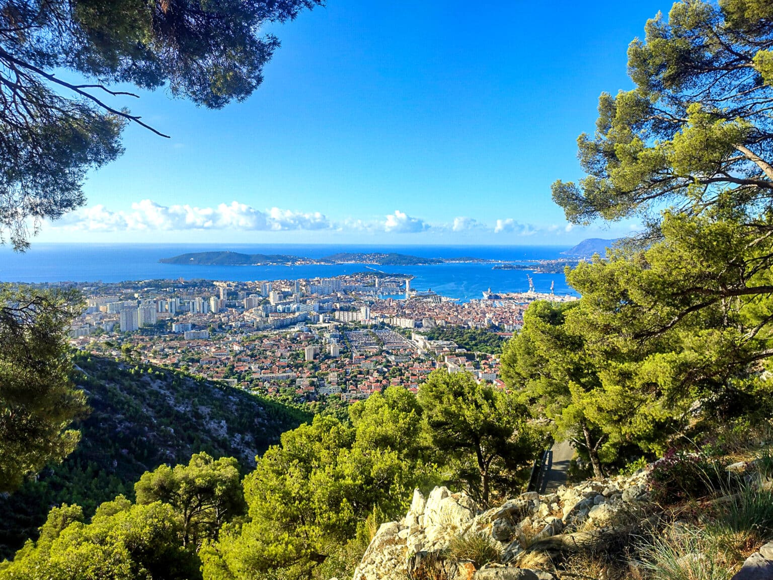 Provence-Alpes-Côte d’Azur : mise en examen à la Chambre de commerce du Var pour « association de malfaiteurs » Toulon Var