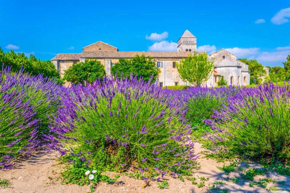 Provence-Alpes-Côte d’Azur : sorties, balades… que faire, que voir à Saint-Rémy-de-Provence ? monastère saint rémy de provence