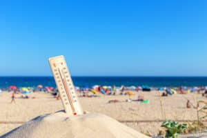 plage canicule