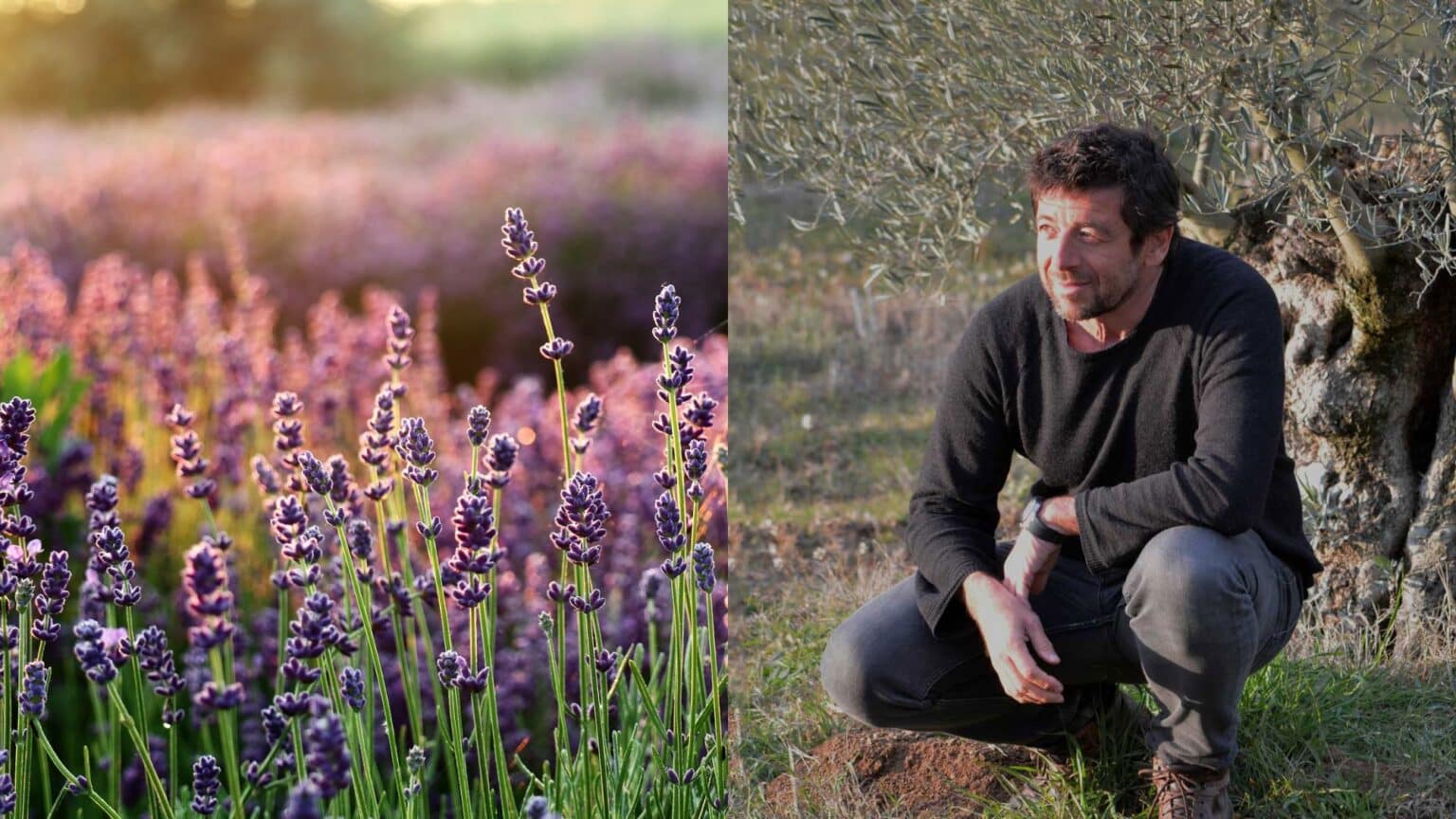 Provence-Alpes-Côte d’Azur : ce spectaculaire domaine du Sud appartient à Patrick Bruel patrick bruel