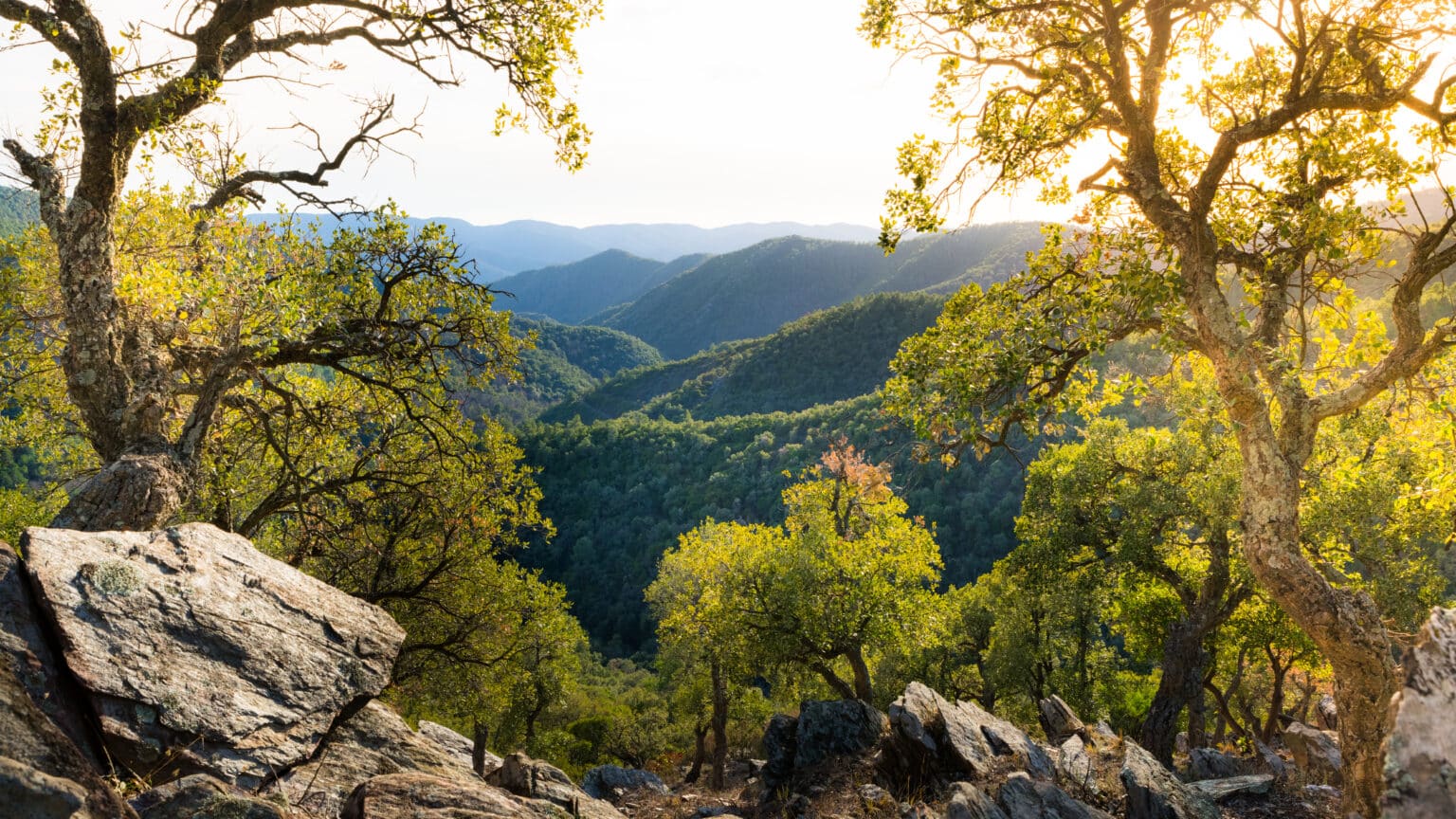 Provence-Alpes-Côte d’Azur : plein zoom sur l’impressionnant massif des Maures et ses trésors naturels, pour un grand bol d’air frais massif maures
