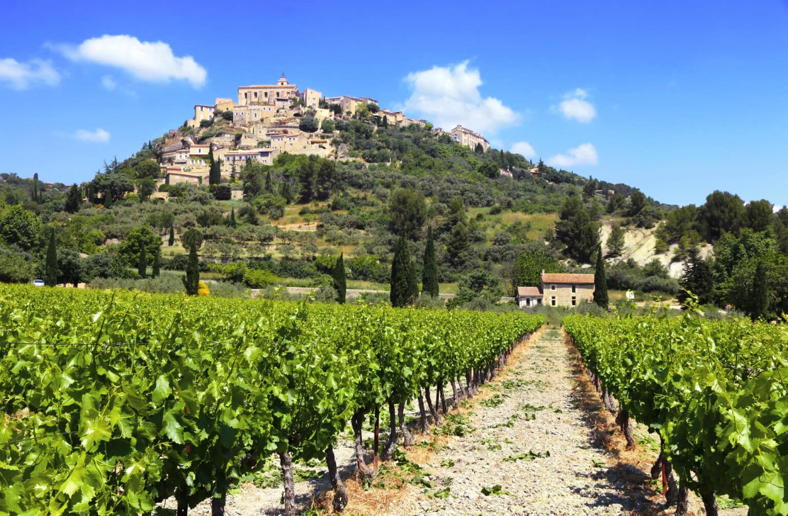 Région – Vendanges en souffrance : comment s’en tirent les viticulteurs en Provence, et en Corse ? vignes gordes
