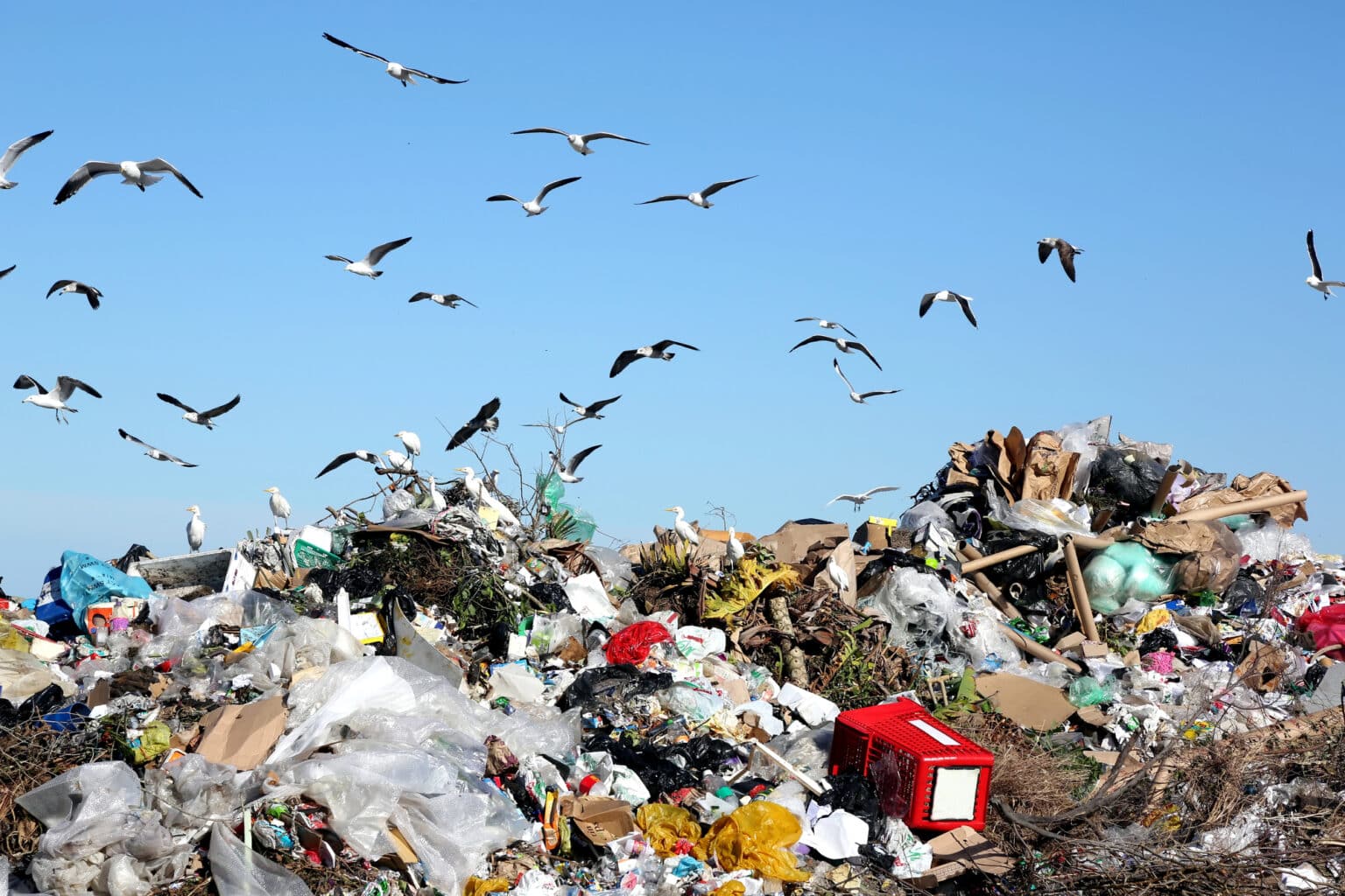 déchets déchèterie