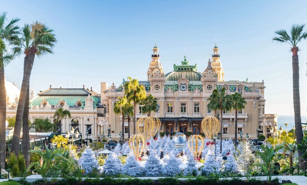 WhatsApp Image 2024 11 20 at 11.56.12