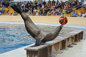 marineland