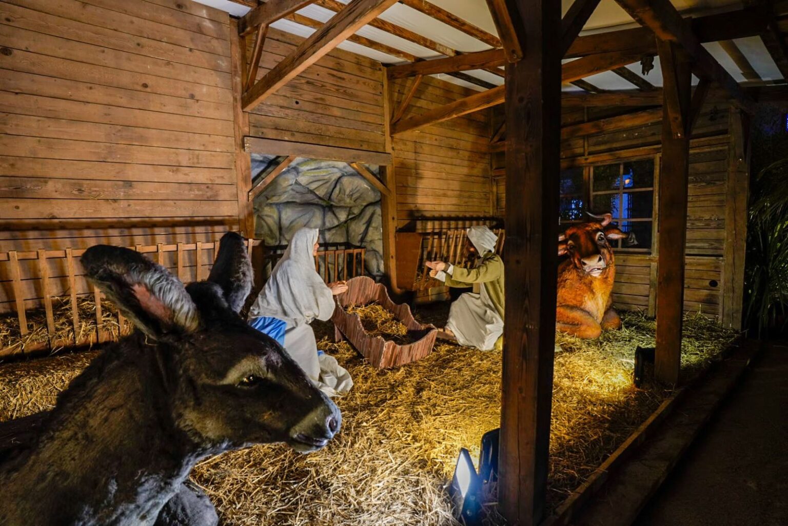 Noël en Provence-Alpes-Côte d’Azur : la crèche géante de retour pour 10 jours au cœur du Vieux-Nice ! WhatsApp Image 2024 12 20 at 12.49.45