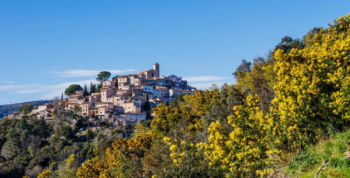 Idée de balades hivernales en Provence-Alpes-Côte d’Azur : au-delà de Mandelieu, les autres trésors de la « Route du mimosa » bormes mimosa