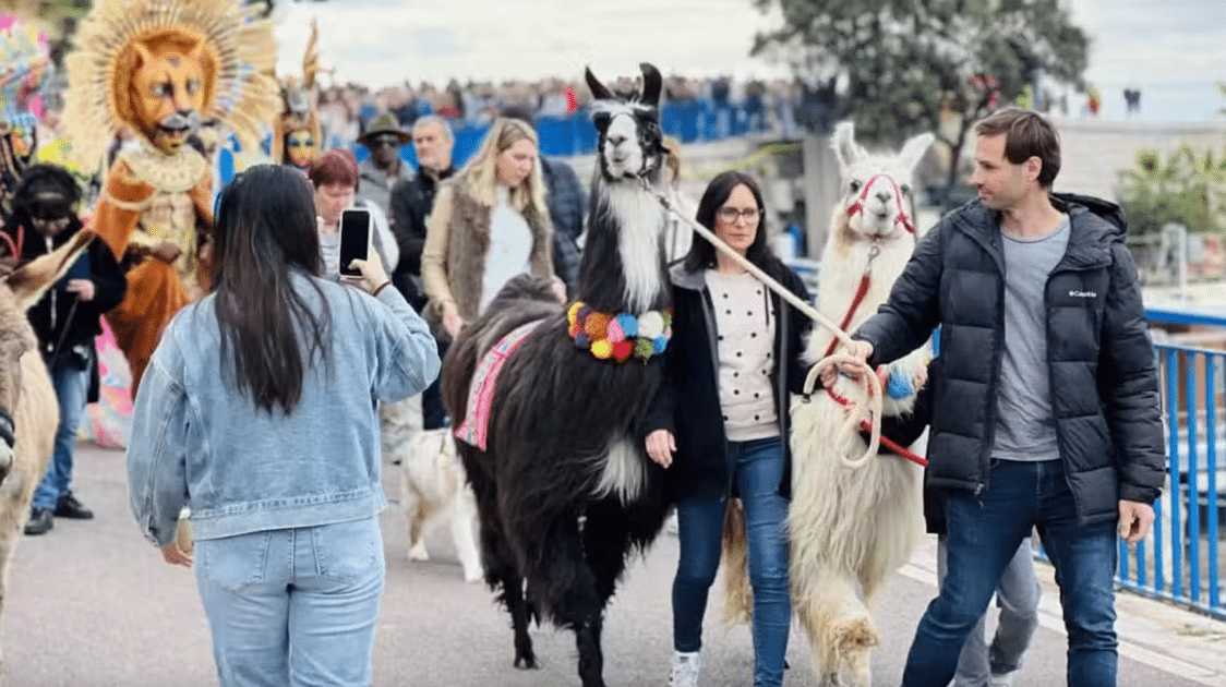 Capture decran 2025 02 12 a 18.56.22 1