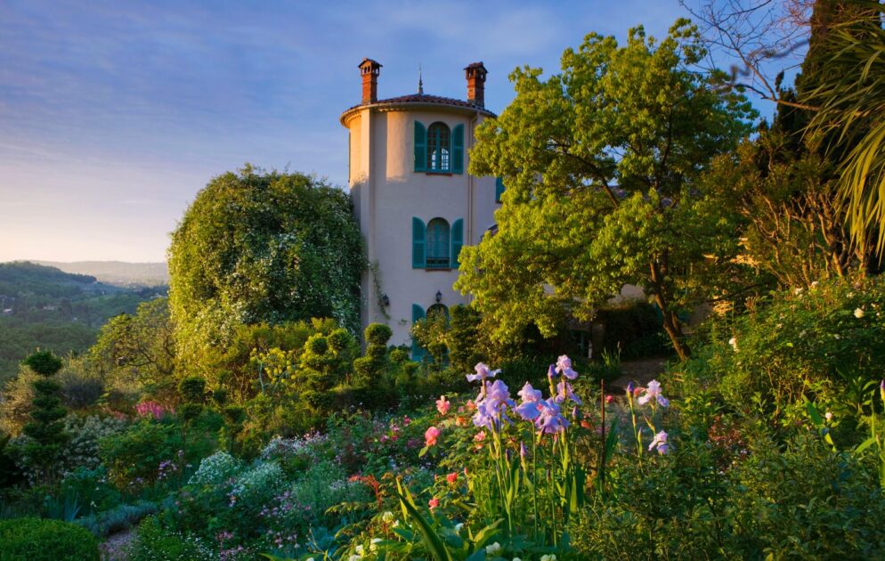 WhatsApp Image 2025 02 03 at 13.19.53