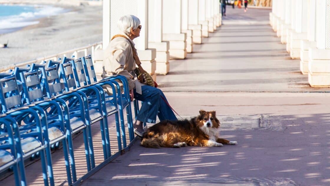 La Métropole Nice Côte d’Azur parmi les meilleures destinations pour un séjour avec votre animal de compagnie ! Nice Chiens Animaux
