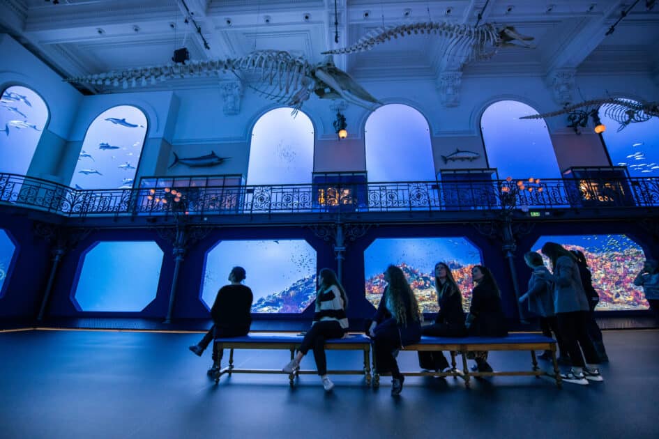 Exposition Mediterranee 2050 20250325 Musee oceanograpique Monaco oceano Odyssee©Institut oceanographique Monaco Frederic Pacorel