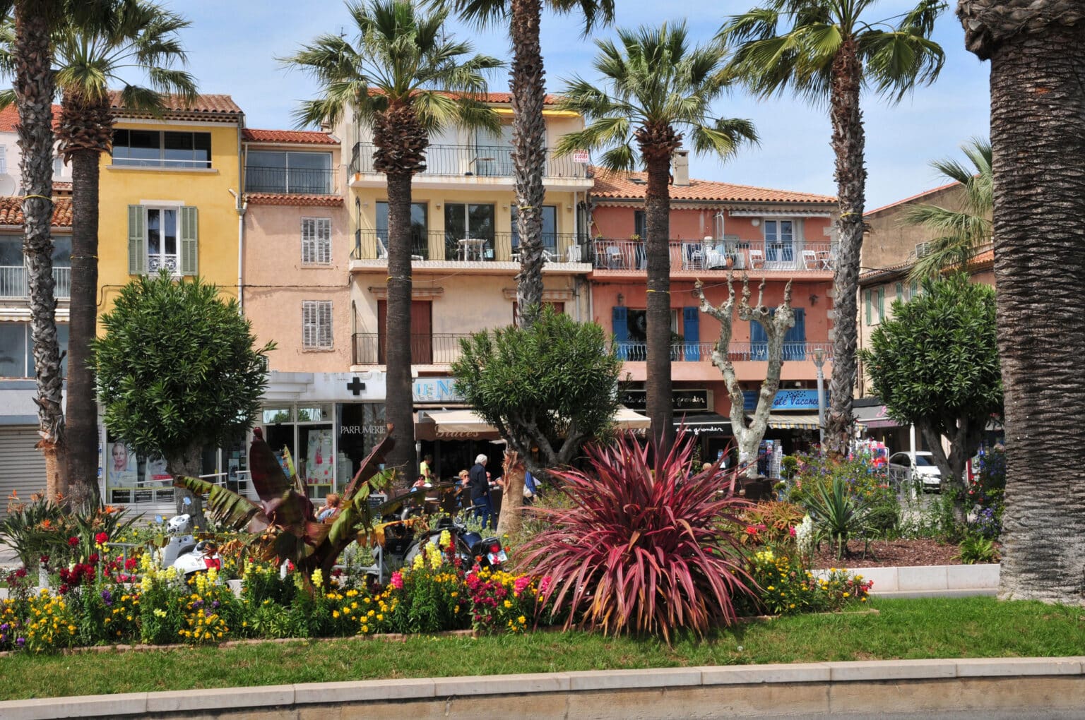 bandol