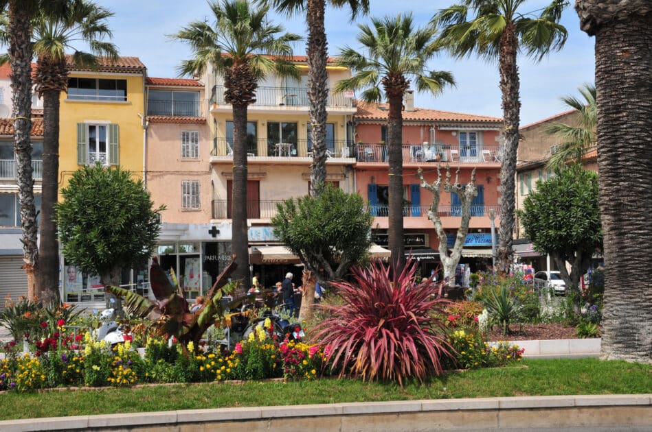 bandol