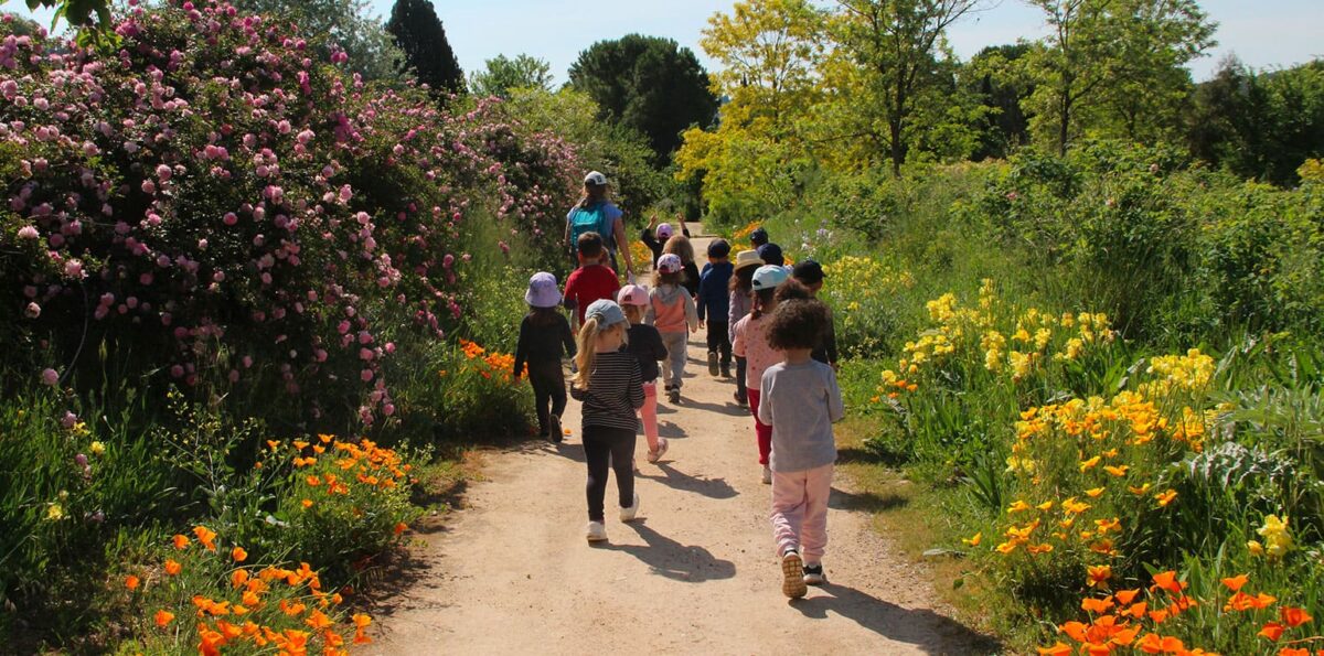 activites aux jardins du mip