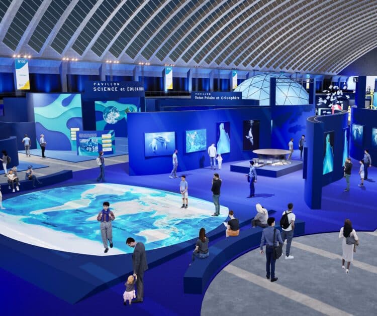 Parcours immersifs, projections... Avec l'expo gratuite "La Baleine", plongez dans l'océan depuis le centre-ville de Nice 1 499948695 1003352468649550 7467996729745820957 n